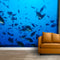 Fish Water Blue Feed Food Wallpaper