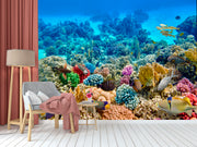 Coral Blue Submarine Wallpaper