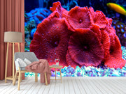 Coral Red Mushroom Wallpaper