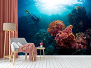 Coral Bleaching Wallpaper