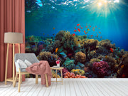 Coral Yaale Wallpaper