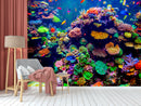 Coral Healthy Ocean Wallpaper