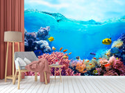 Coral Striped Long Wallpaper