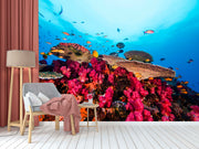 Coral Birdnest Wallpaper