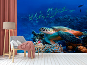 Coral Acidification Wallpaper