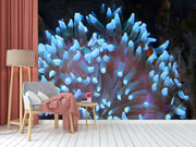 Coral Panorama Wallpaper