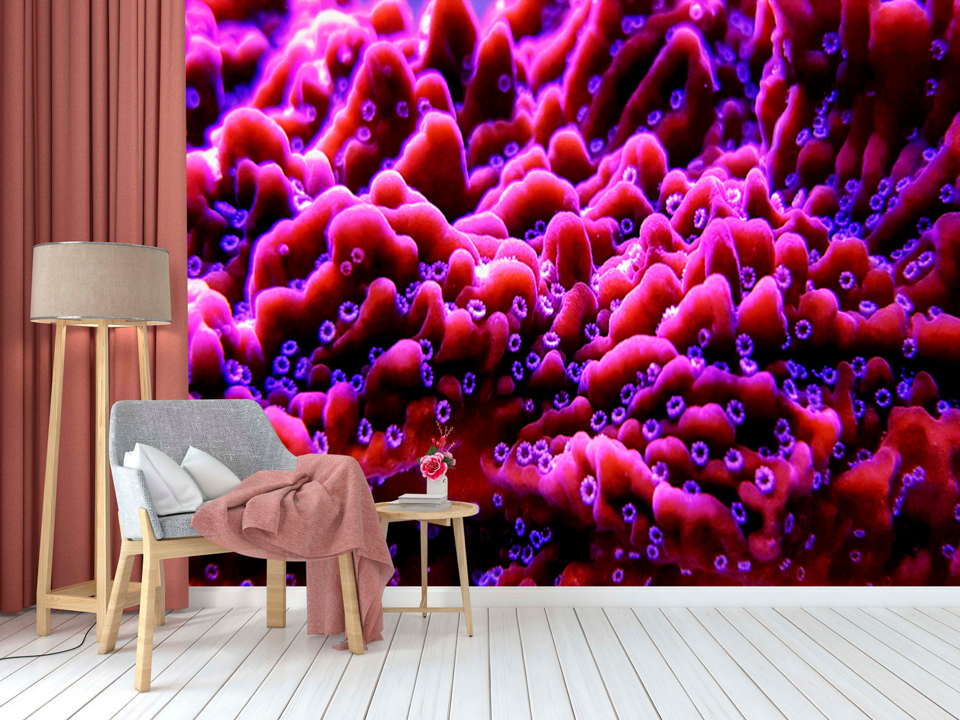 Coral Maldives Wallpaper