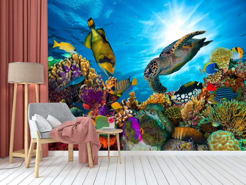 Kingdom Coral Bright Fishes Wallpaper