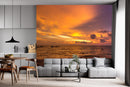Beautiful sunset ocean view wallpaper