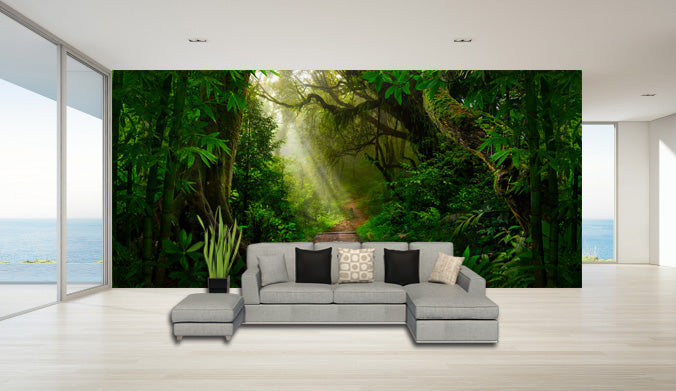 Sunlight Rain Forest Wallpaper