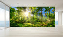 Day Sunlight Forest Wallpaper