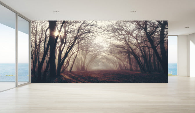 Winter Forest Wallpaper