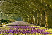 Harrogate Image Sticker