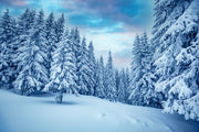 Wardrobe Snow Covered Sticker