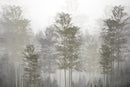 Foggy Forest Sticker