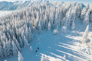 Playing On Snow Wallpaper
