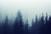 Misty Evergreen Sticker