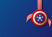 USA Shield Sticker