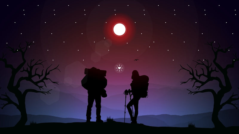 Moon light start gazing couple wallpaper