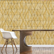 Raga Geometric Wallpaper