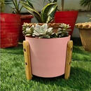 Flower Pot With Wooden Stand 16