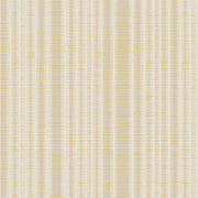 Caeser Gold Wallpaper