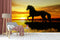 Horses Customised Wallpaper
