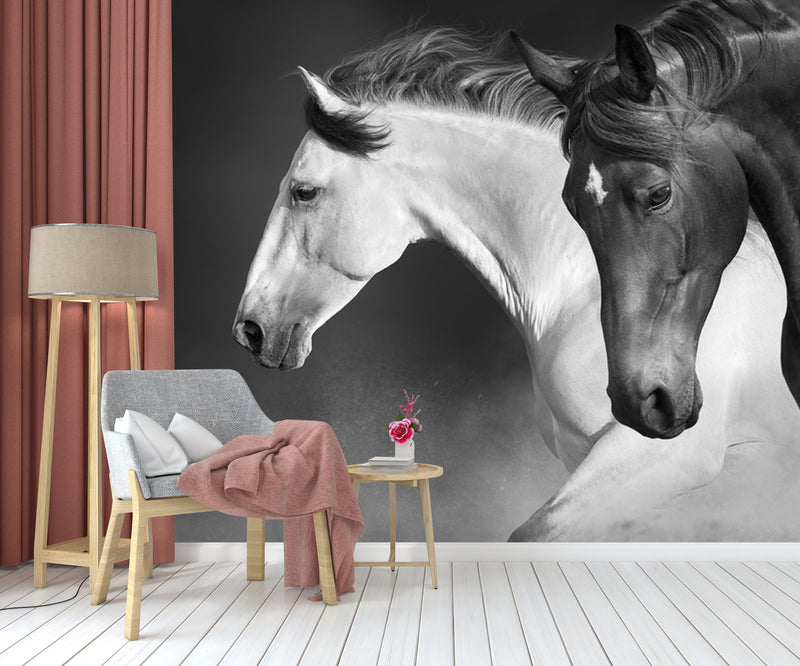Alluring White And Black Horse Wallpaper
