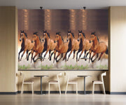 Horses Customised Wallpaper