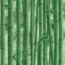 Lakshadweep Green Bamboo Wallpaper