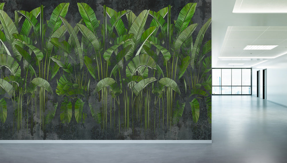 Grey Green Banana Tree Murals Wallpaper