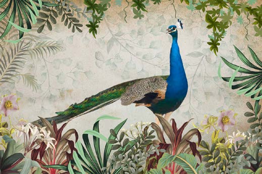 Mystic Peacock Wallpaper