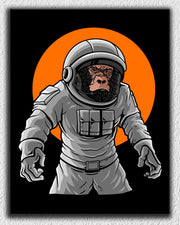 Monkey Space Sun Art