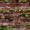 Sydney Brick Textured Wallpaper