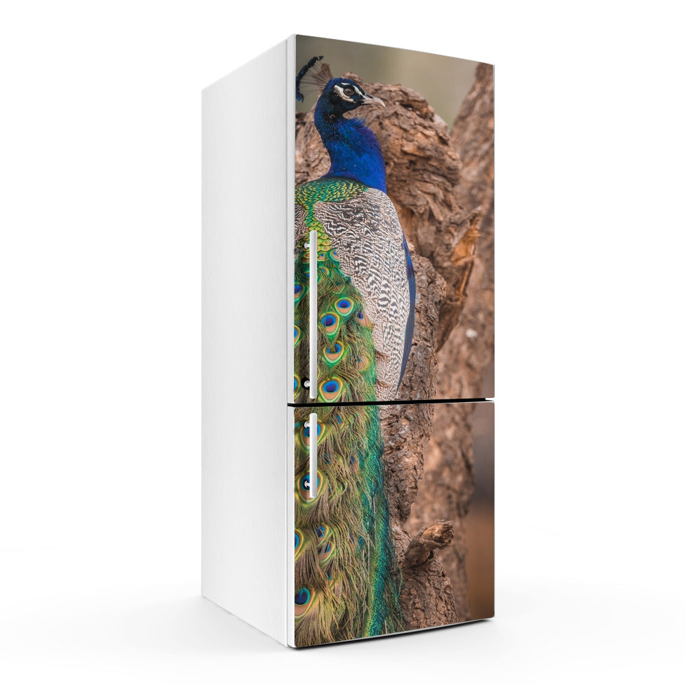 Peacocks On Tree Art Self Adhesive Sticker For Refrigerator
