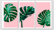 Monstera Wall Art, Set Of 3