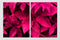 Black And Pink Leaves Wall Art, Set Of 2