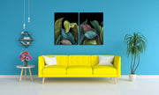 Multicolour Leaves On Black, Set Of 2