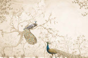 Peacock Charm Wallpaper