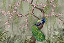 Peacock Gleam Wallpaper