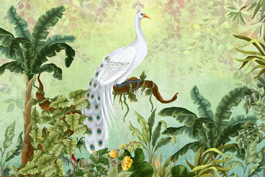 Peacock Serenity Wallpaper