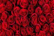 Red Roses Wallpaper