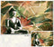 Lord Buddha Exotic Tropical Wallpaper