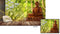 Lord Buddha Hexagon Nature Wallpaper