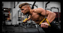 Dumbbell Workout Gym Wallpaper