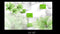 3D Decorative Wallpaper for Wall