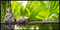 Serene Lord Buddha Nature Wallpaper