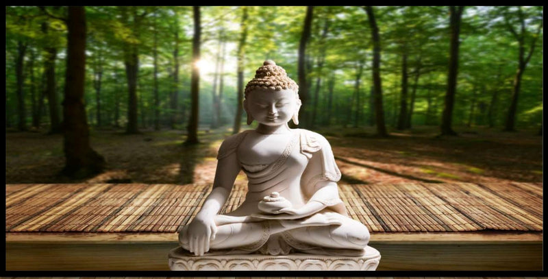 Lord Buddha Forest Background Wallpaper