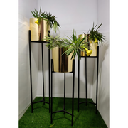 Golden Metal Pot Planter