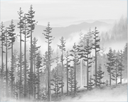 Balck And White Spring Wallpaper